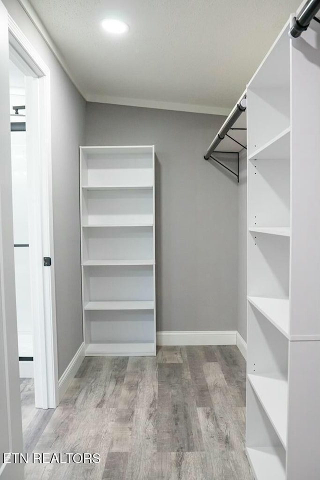 spacious closet featuring wood-type flooring