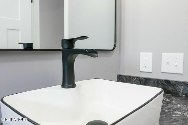 interior details featuring sink