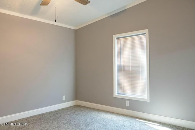 carpeted spare room featuring ceiling fan and ornamental molding