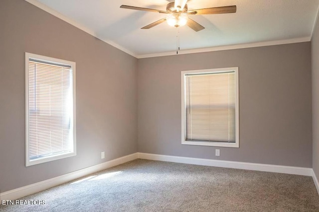 carpeted spare room with ceiling fan and ornamental molding