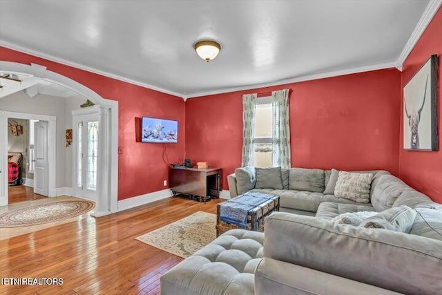 living room with wood-type flooring and crown molding