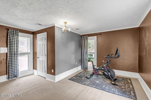 workout room featuring carpet floors, a healthy amount of sunlight, and ornamental molding