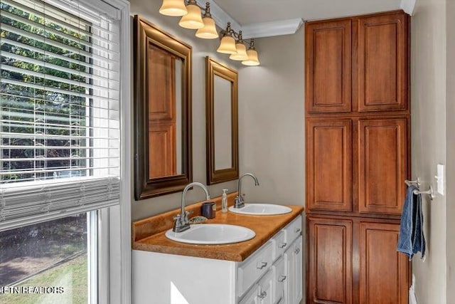 bathroom featuring vanity and ornamental molding