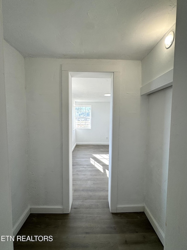 hallway featuring dark hardwood / wood-style flooring