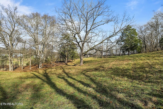 4680 Luttrell Rd, Knoxville, TN 37918 - photo 59