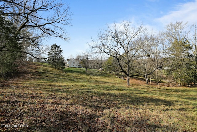 view of yard featuring a rural view