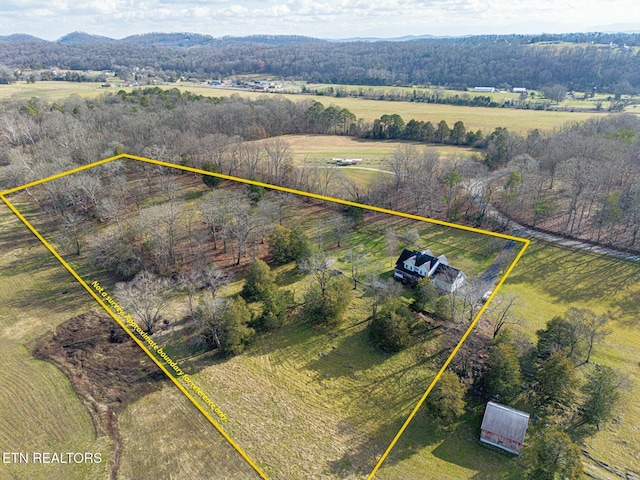 4680 Luttrell Rd, Knoxville, TN 37918 - photo 8