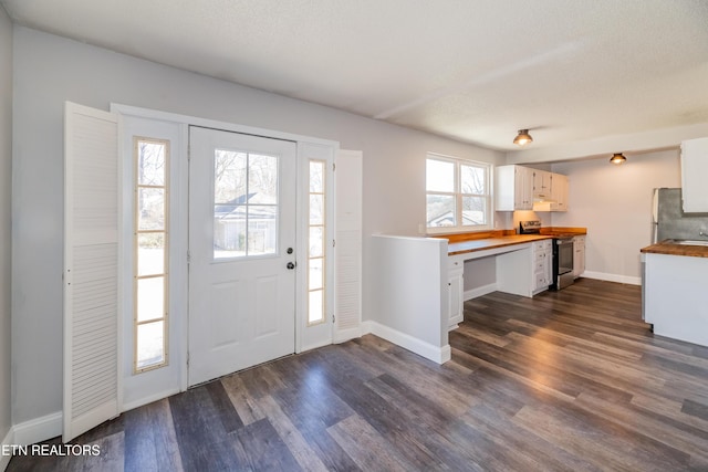 entryway with a textured ceiling, dark hardwood / wood-style floors, and plenty of natural light