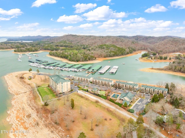 drone / aerial view with a water view