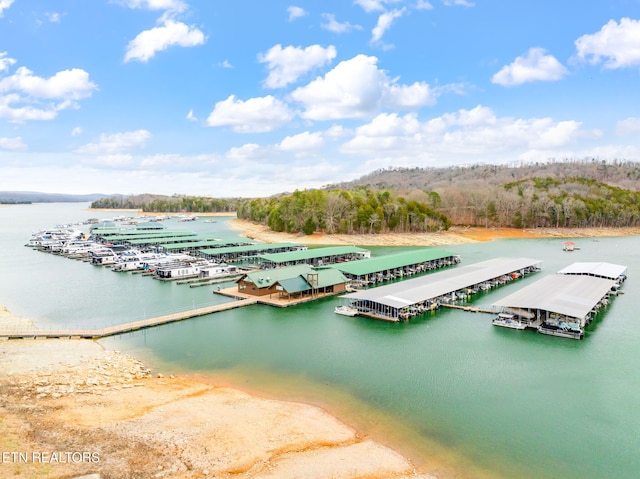 dock area with a water view