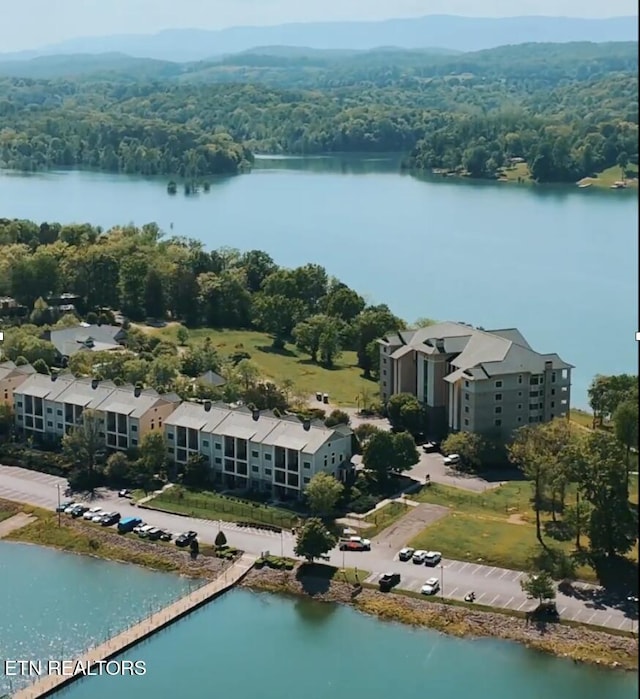 312 Waterside Cir, Andersonville, TN 37705 - aerial view of a forest and a nearby body of water
