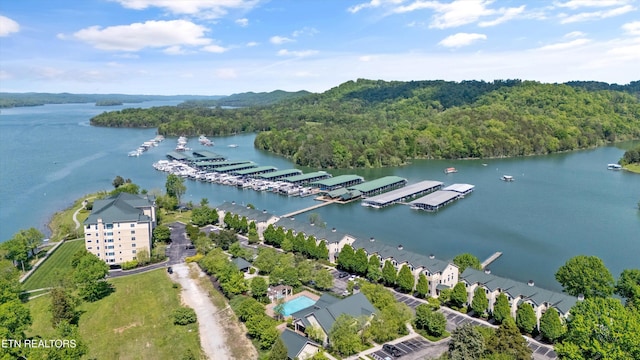 312 Waterside Cir, Andersonville, TN 37705 - aerial view of a heavily wooded area and a large body of water