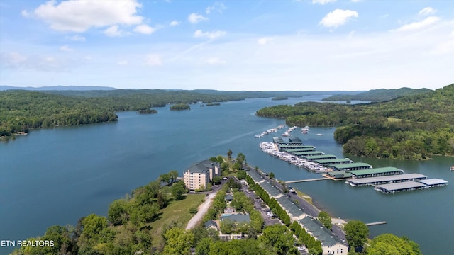312 Waterside Cir, Andersonville, TN 37705 - bird's eye view of a heavily wooded area and a large body of water