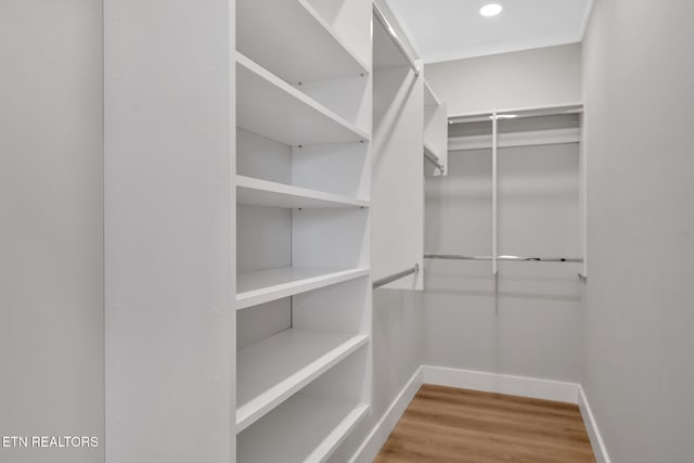 spacious closet with hardwood / wood-style flooring