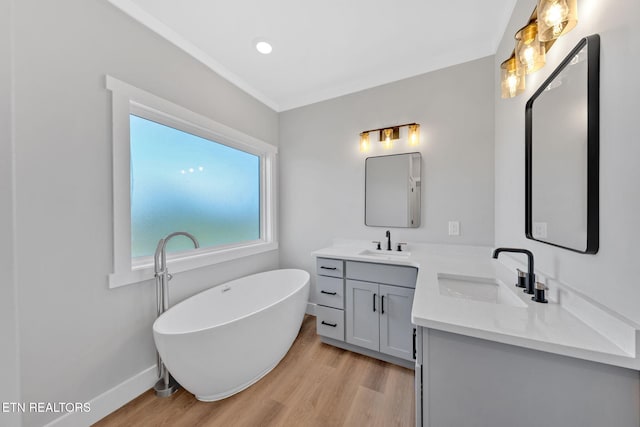 bathroom with vanity, hardwood / wood-style floors, and a washtub