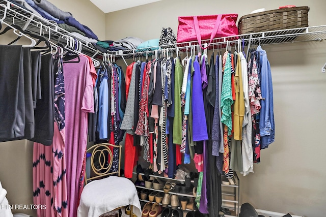 view of spacious closet