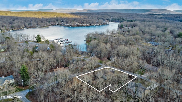 aerial view featuring a water and mountain view