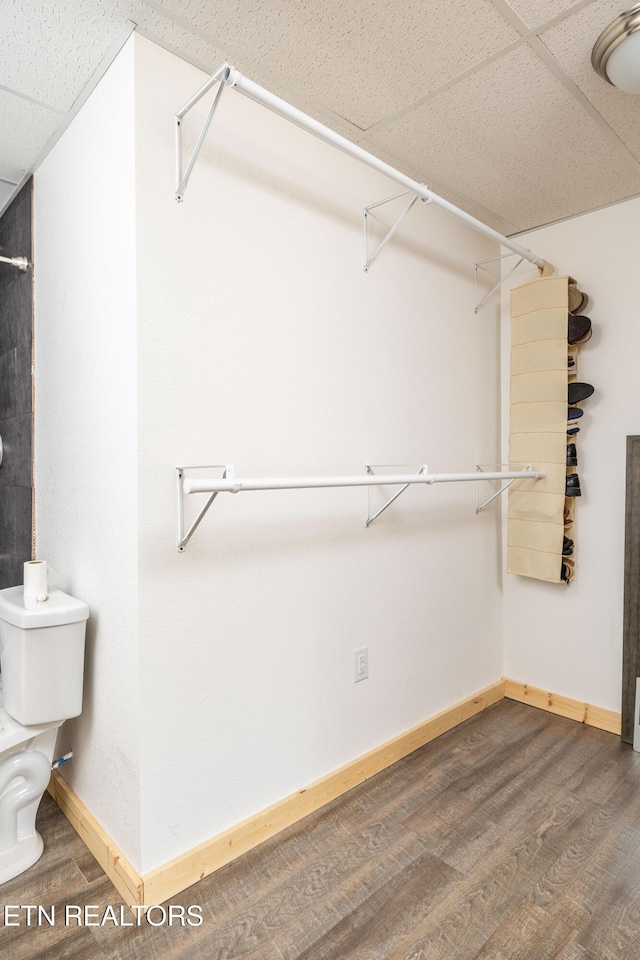 spacious closet with a paneled ceiling and wood-type flooring