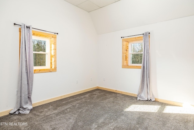 carpeted empty room featuring a healthy amount of sunlight and vaulted ceiling