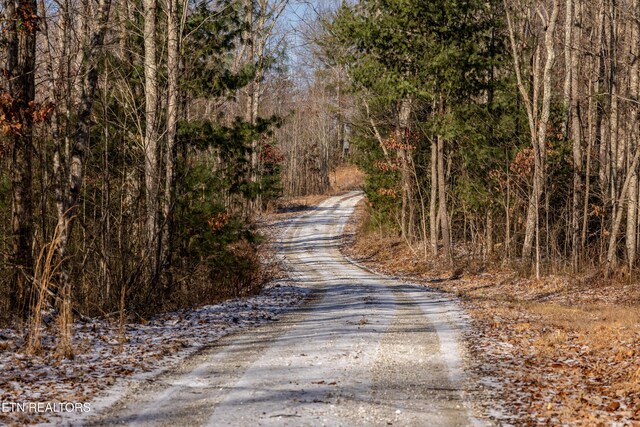 178 Stan Reed Ln, Oneida, TN 37841 - photo 42