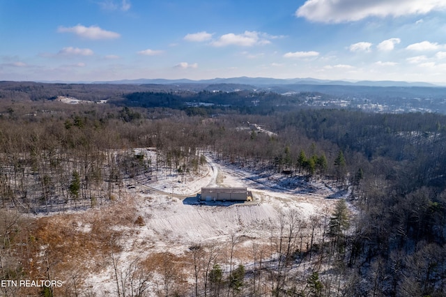 drone / aerial view featuring a mountain view