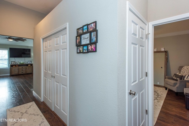 corridor featuring dark wood-type flooring