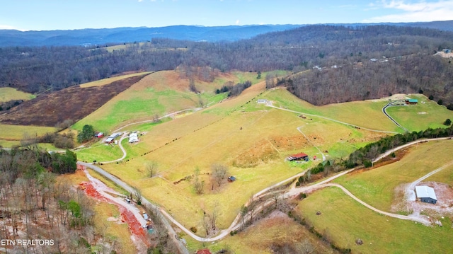 birds eye view of property with a mountain view and a rural view