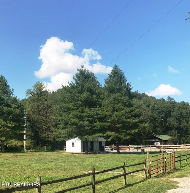 view of yard featuring a rural view