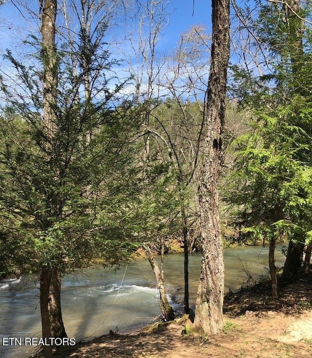 view of water feature