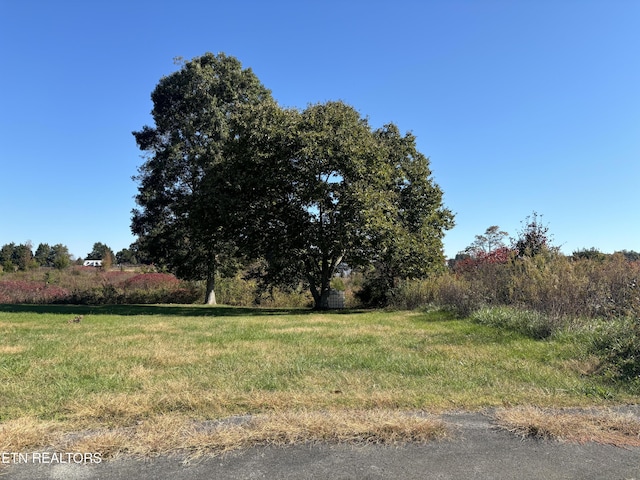 view of yard featuring a rural view