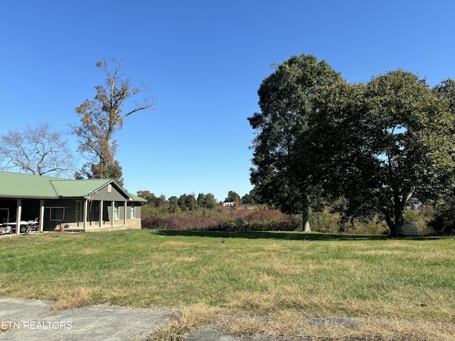 view of yard