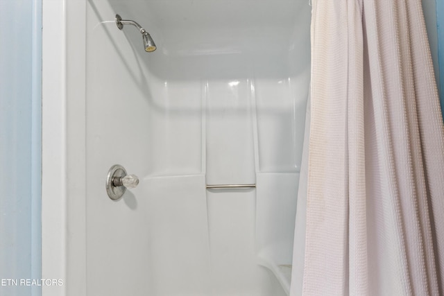 3865 Ballplay Rd, Tellico Plains, TN 37385 - bathroom featuring curtained shower