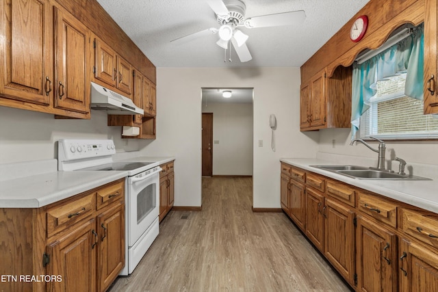 3865 Ballplay Rd, Tellico Plains, TN 37385 - kitchen featuring white electric range, sink, ceiling fan, light hardwood / wood-style floors, and a textured ceiling
