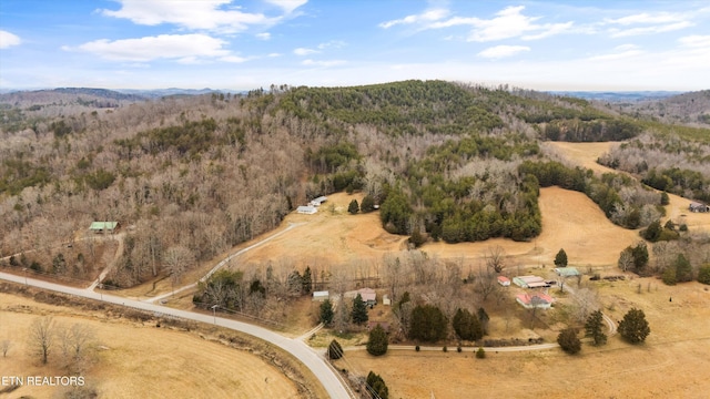 3865 Ballplay Rd, Tellico Plains, TN 37385 - drone / aerial view featuring a rural view