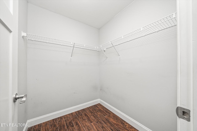 spacious closet with wood-type flooring