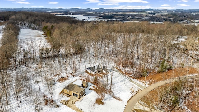 snowy aerial view featuring a mountain view