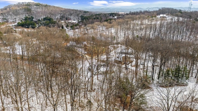 drone / aerial view featuring a mountain view