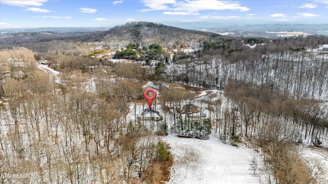 snowy aerial view with a mountain view