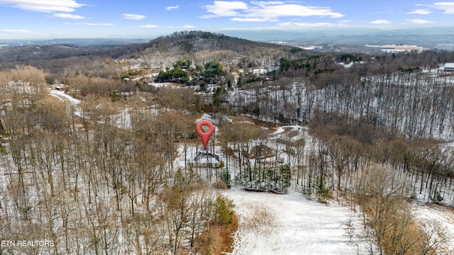 snowy aerial view featuring a mountain view