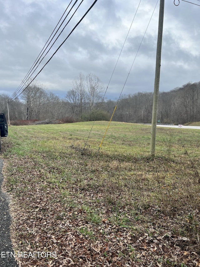 8464 Scott Hwy, Robbins TN, 37852 land for sale