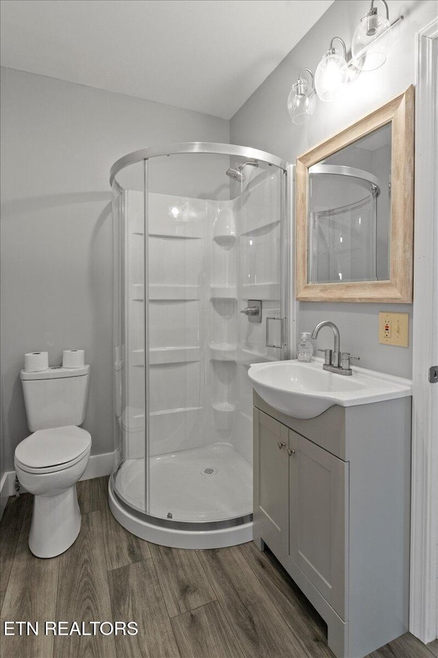 bathroom with vanity, hardwood / wood-style flooring, toilet, and walk in shower