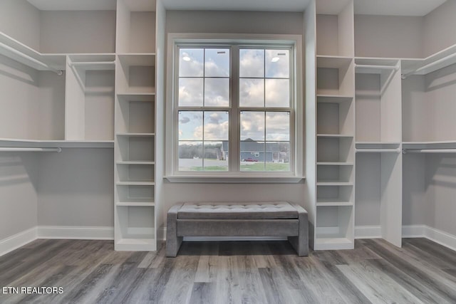 walk in closet featuring hardwood / wood-style floors