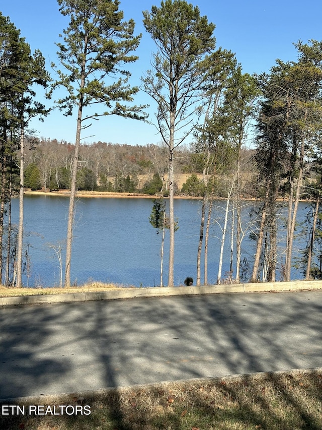 650 Sandpiper Dr, Vonore, TN 37885