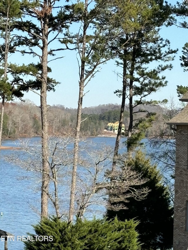 650 Sandpiper Dr, Vonore, TN 37885