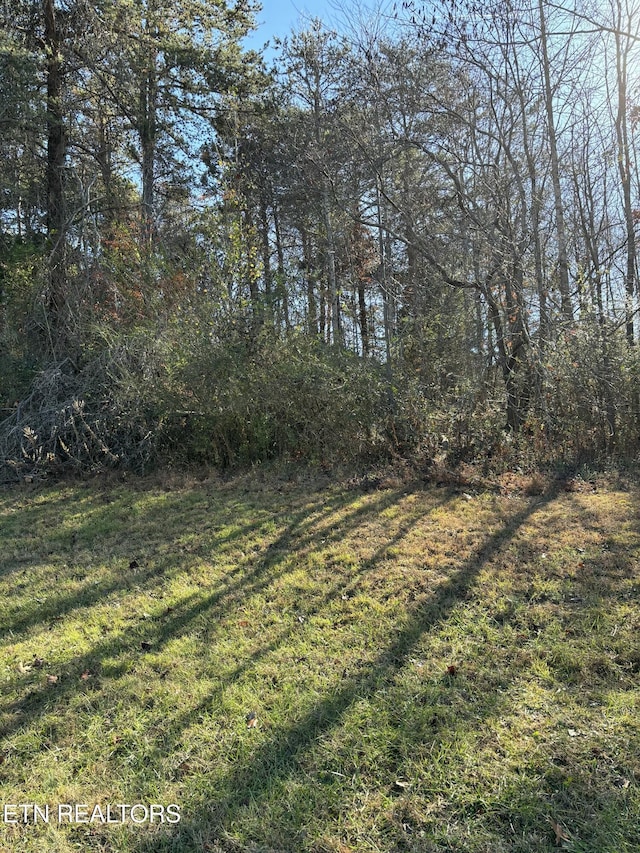 650 Sandpiper Dr, Vonore, TN 37885