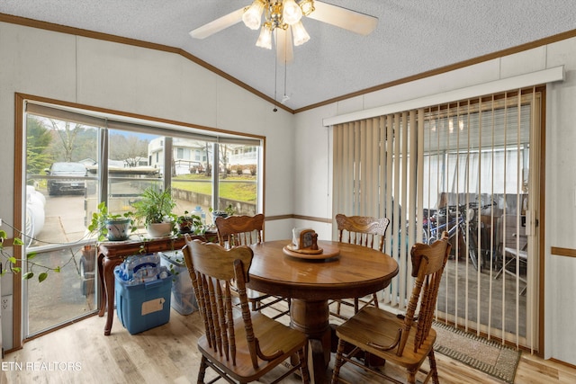 dining area with a wealth of natural light, light hardwood / wood-style flooring, vaulted ceiling, and ceiling fan