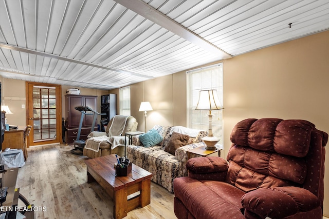 living room featuring light hardwood / wood-style floors and plenty of natural light