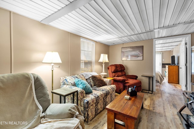 living room with light hardwood / wood-style floors