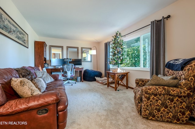 view of carpeted living room