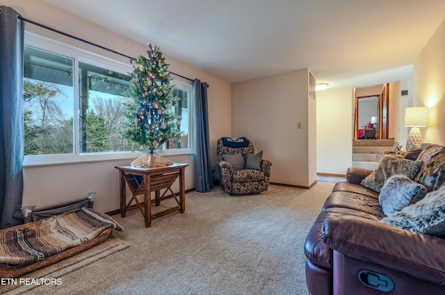 view of carpeted living room